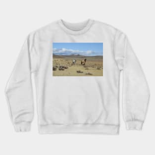 Wild horses, mustangs, nature, wildlife, gifts Crewneck Sweatshirt